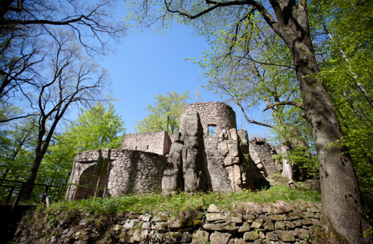 Burg Bolzenschloss (Bolczow)